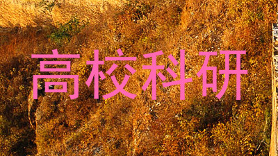 高校科研