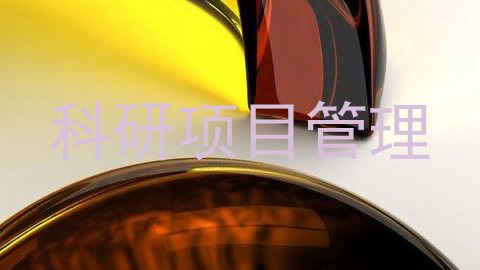 科研项目管理