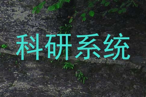科研系统