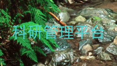 科研管理平台