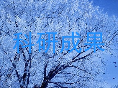 科研成果