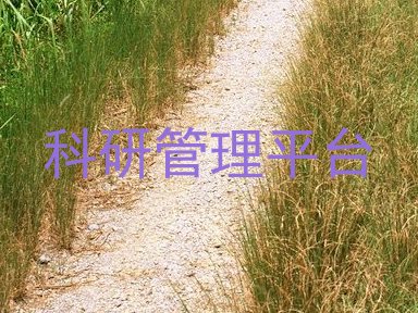 科研管理平台