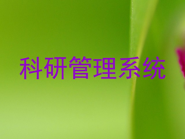科研管理系统