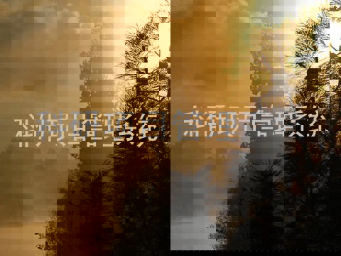 科研项目管理系统