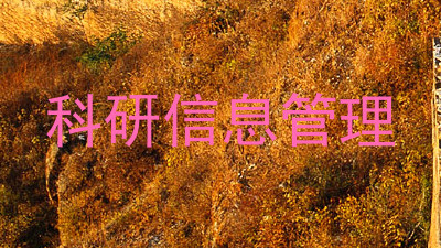 科研信息管理