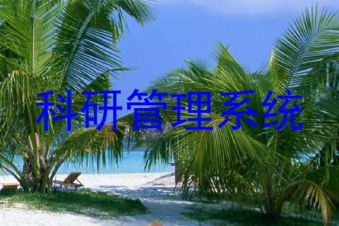 科研管理系统