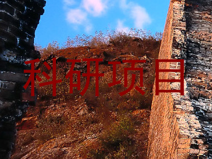 科研项目
