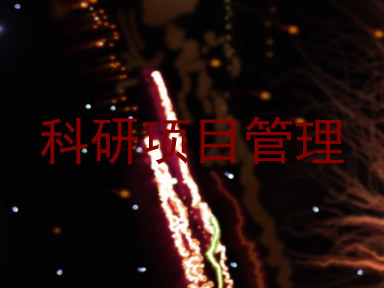 科研项目管理