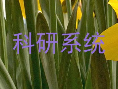 科研系统