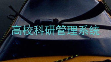 高校科研管理系统