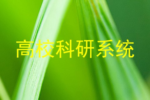 高校科研系统