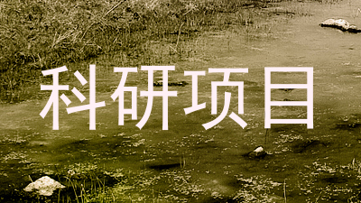 科研项目