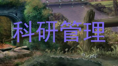 科研管理