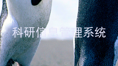 科研信息管理系统