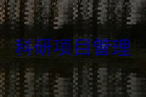 科研项目管理