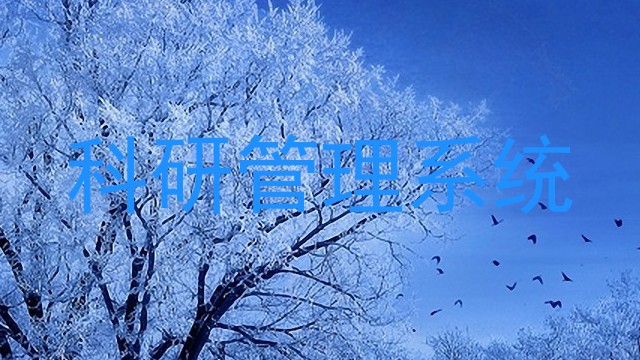 科研管理系统