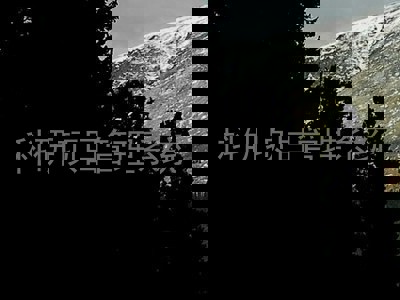 科研项目管理系统