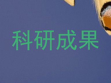 科研成果