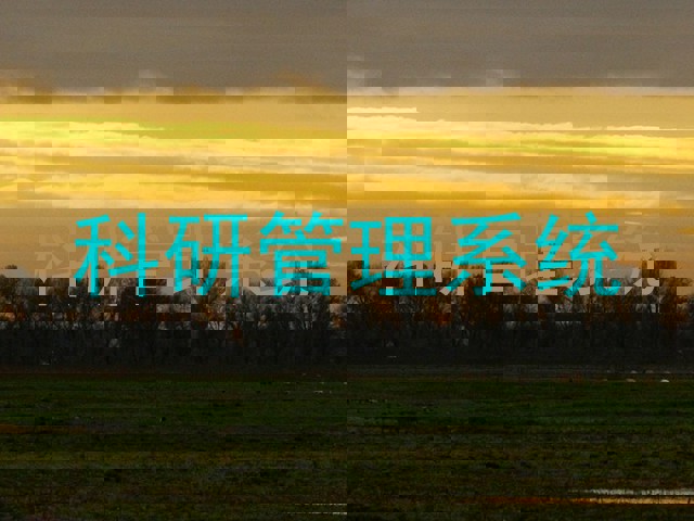 科研管理系统