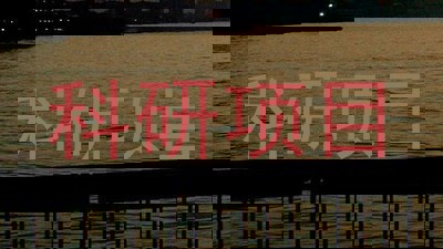 科研项目