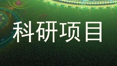 科研项目