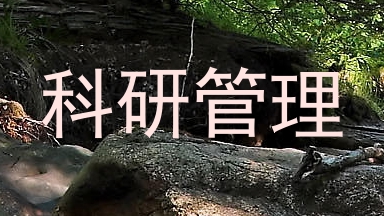 科研管理