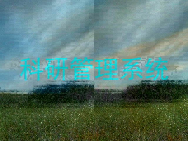 科研管理系统