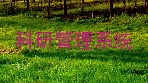 科研管理系统