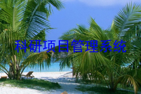 科研项目管理系统