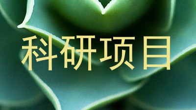 科研项目