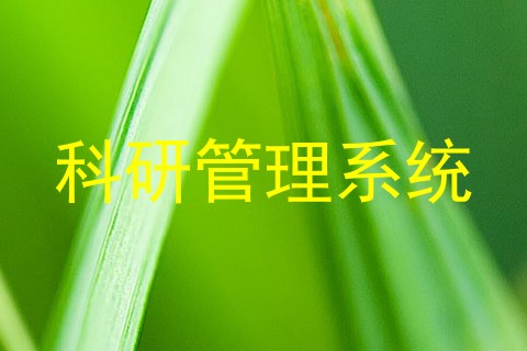 科研管理系统