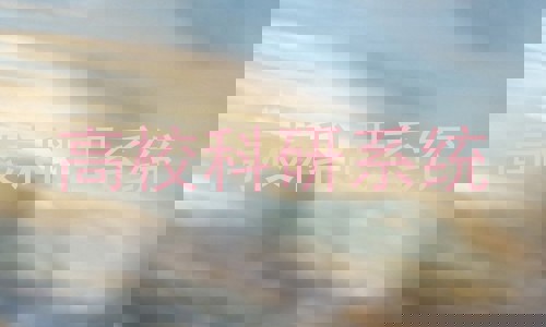 高校科研系统