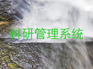 科研管理系统