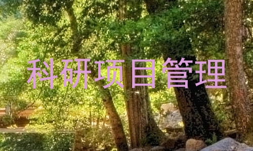 科研项目管理