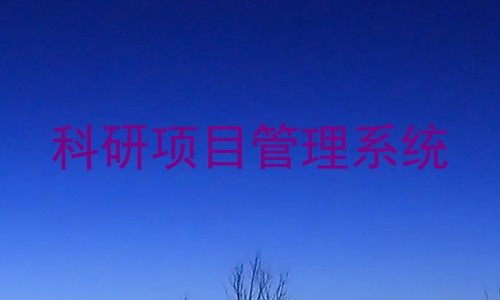 科研项目管理系统