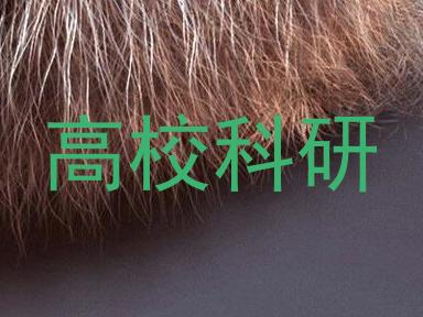 高校科研