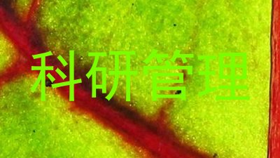 科研管理