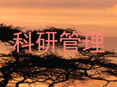 科研管理