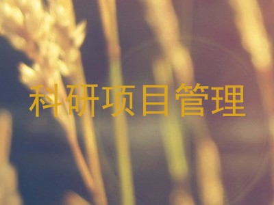 科研项目管理