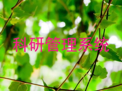 科研管理系统