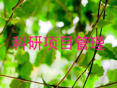 科研项目管理