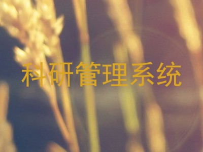 科研管理系统