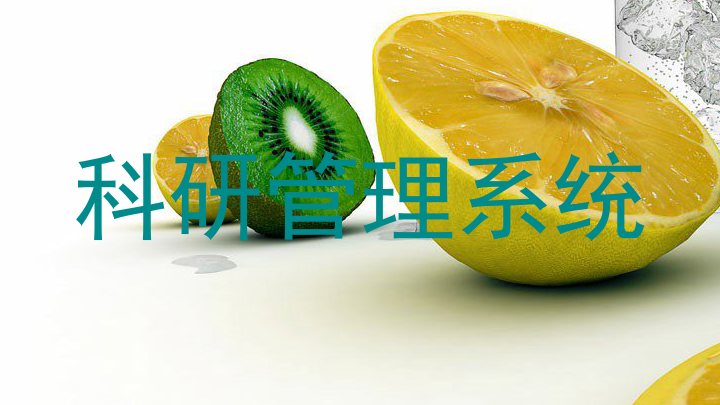 科研管理系统