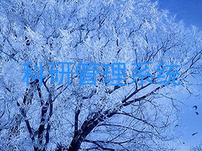 科研管理系统