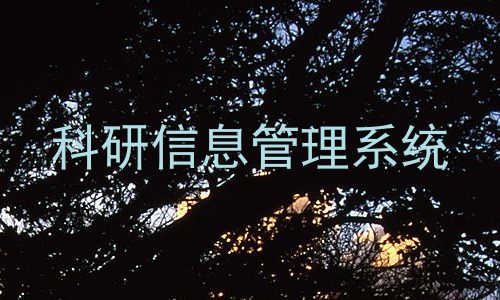 科研信息管理系统