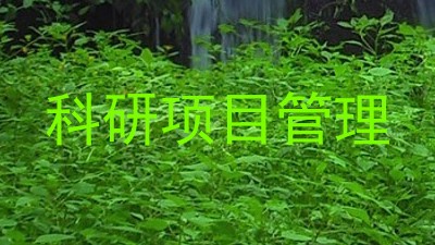 科研项目管理