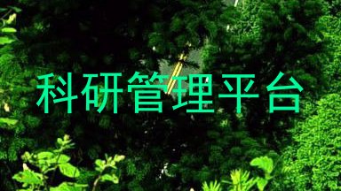 科研管理平台