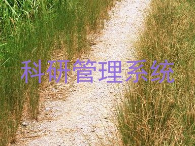 科研管理系统
