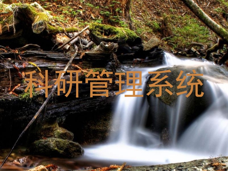 科研管理系统