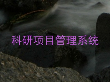 科研项目管理系统